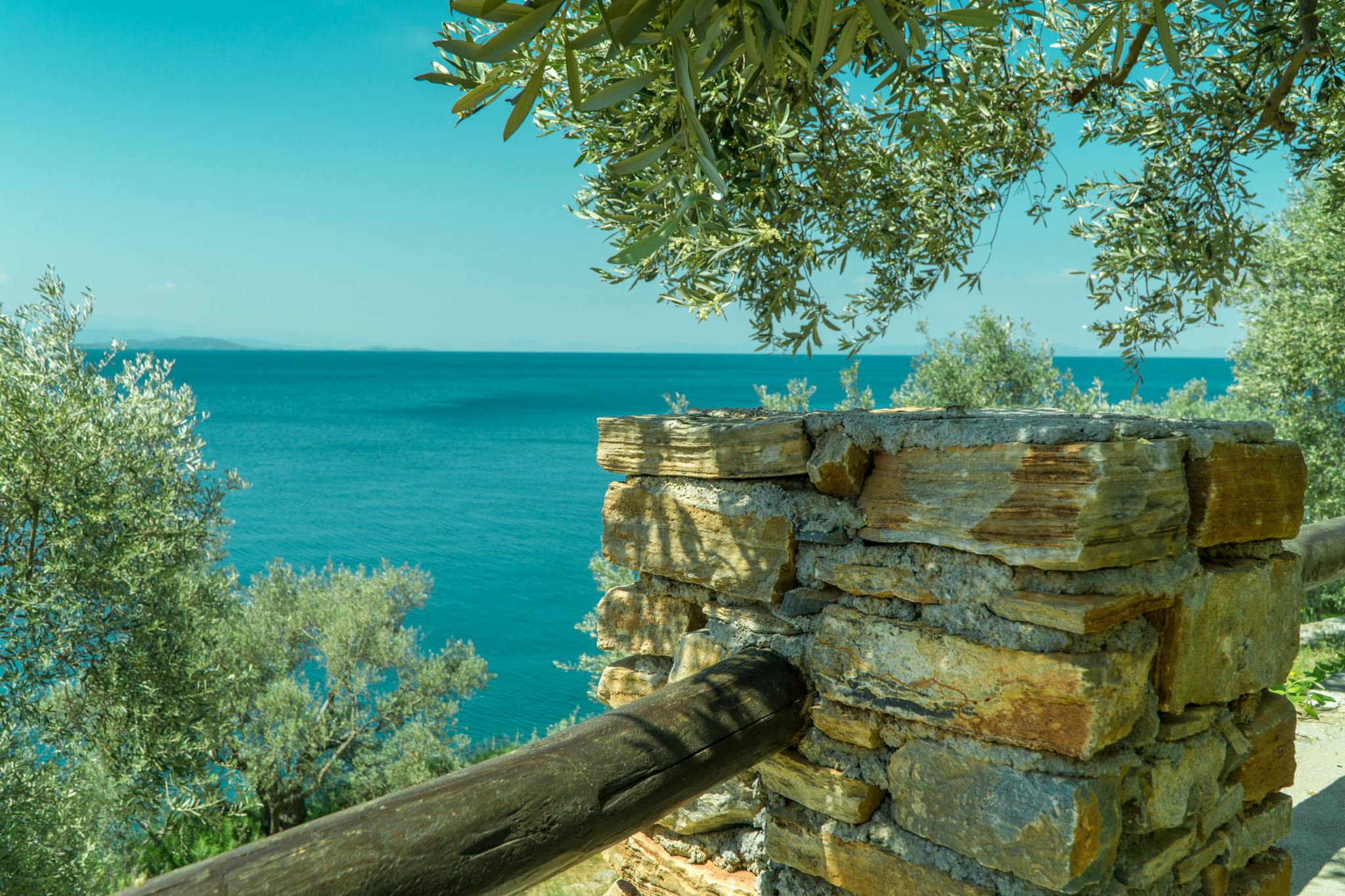 Peaceful coastal scene featuring a stone wall, olive trees, and the ocean under a clear sky.